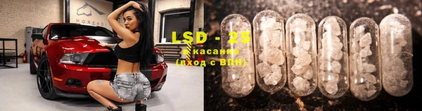 spice Алзамай