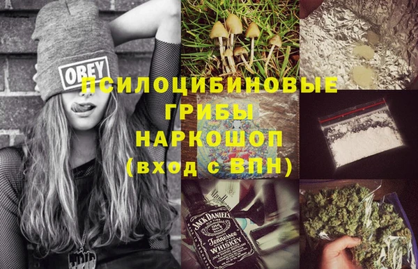 спайс Алексин