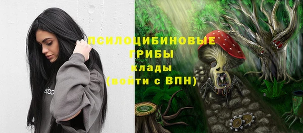 spice Алзамай