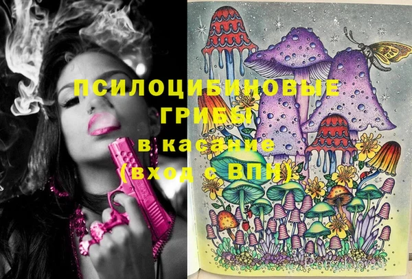 spice Алзамай