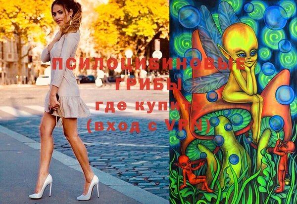 спайс Алексин