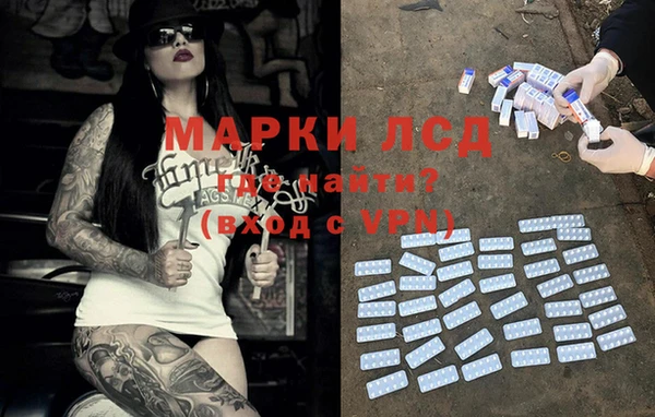 spice Алзамай