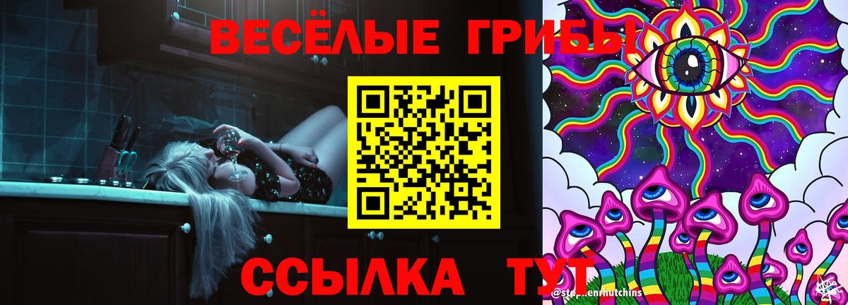 Галлюциногенные грибы мицелий  Вход с VPN  Осинники 