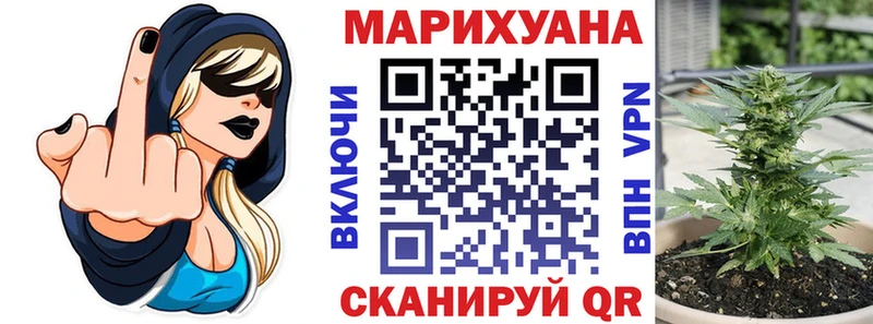 сколько стоит  Осинники  блэк спрут зеркало  Канабис ГИДРОПОН 